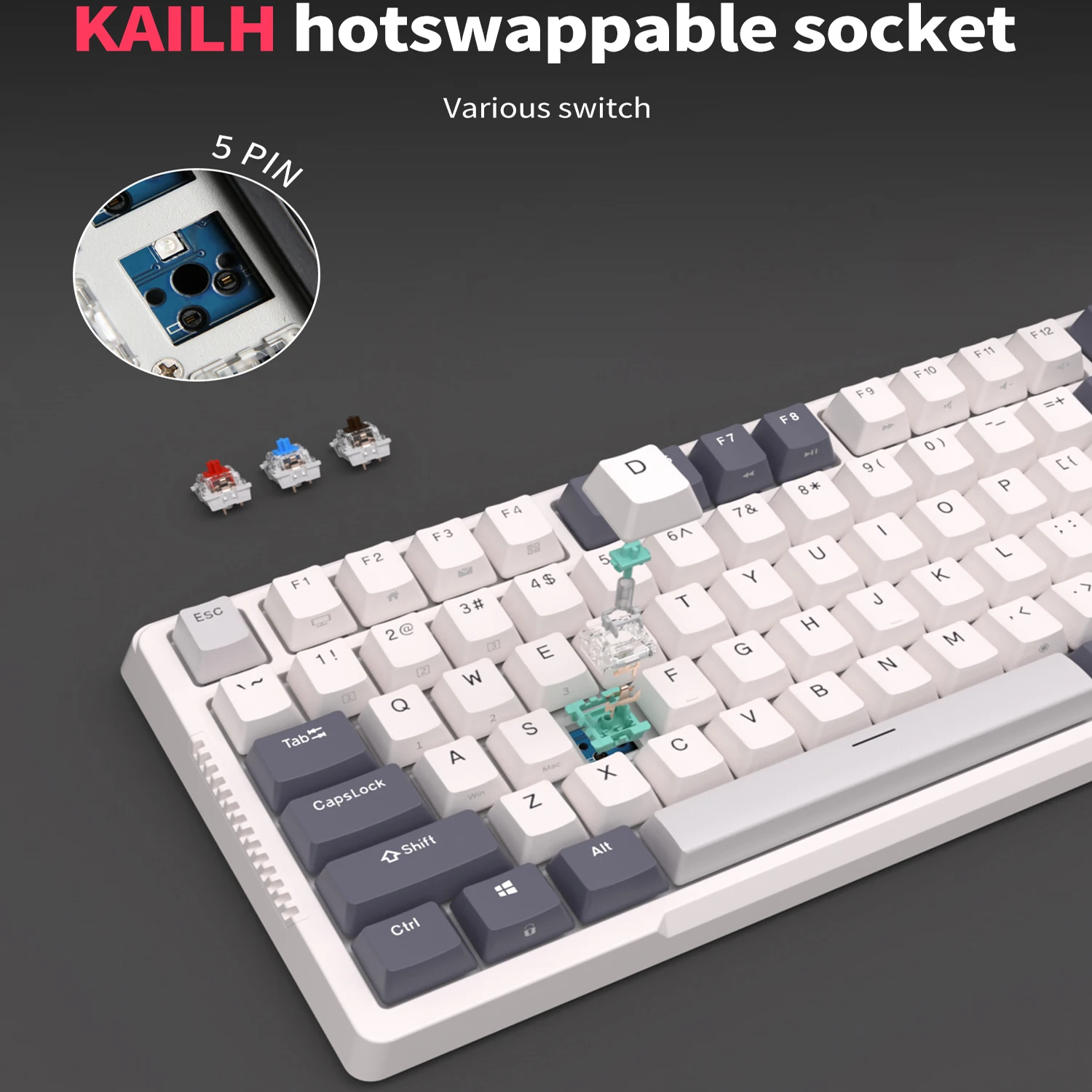 RK H81 Royal Kludge Gasket Structure Tri-mode Mechanical Keyboard 81 Key 80% RGB Backlit 2.4G Wireless Bluetooth Gamer Keyboard