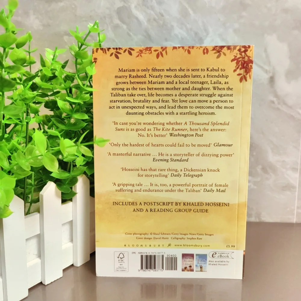 ألف رواية إنجليزية رائعة من تأليف هوسيني #5