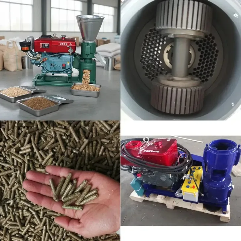 Diesel Pellet Machine for Grain Based Animal Feed Production High Productivity 22HP 300-400kg/h Output