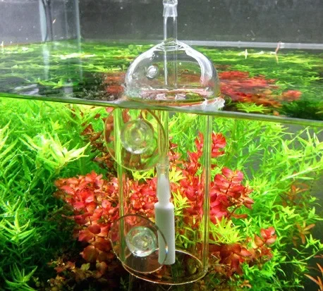 VIV Do Device Aquarium Cylinder Crystal Glass Dissolved Oxygen Water Bubble Splash Air Stone Cylinder Dissolved Fish Plants