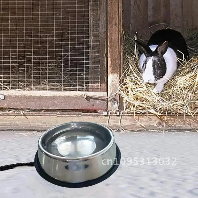 

Outdoor Thermal Bowl For Dog Outdoor Thermal Bowl Durable Heated Bowl Dog With Cats And Rabbits Dogs Control Temperature For