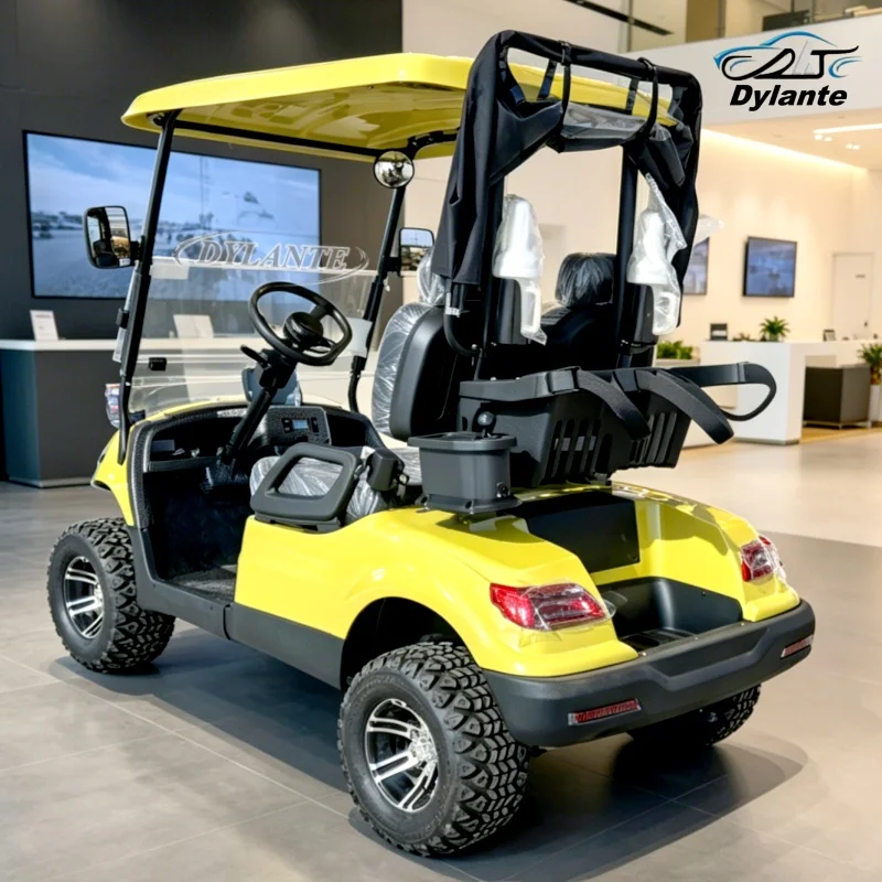 Dylante Product Customization Off Road Buggy Golf Cart 2 4 6 Seater Electric Lifted Scooter Golf Carts Golf Buggy