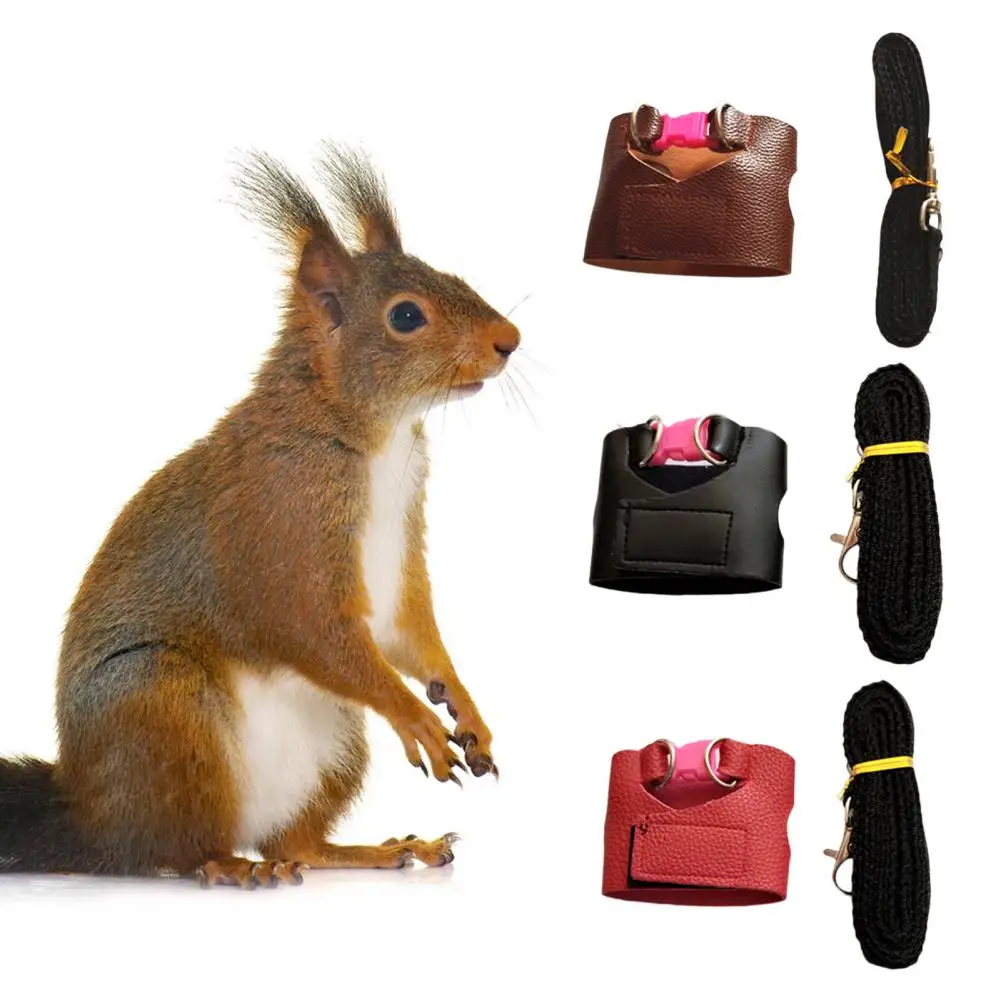 

Squirrel Training Rope Squirrel Train Tool Leash Split Vest Small Animals Rabbit Iguana Squirrel Chinchilla Traction Rope