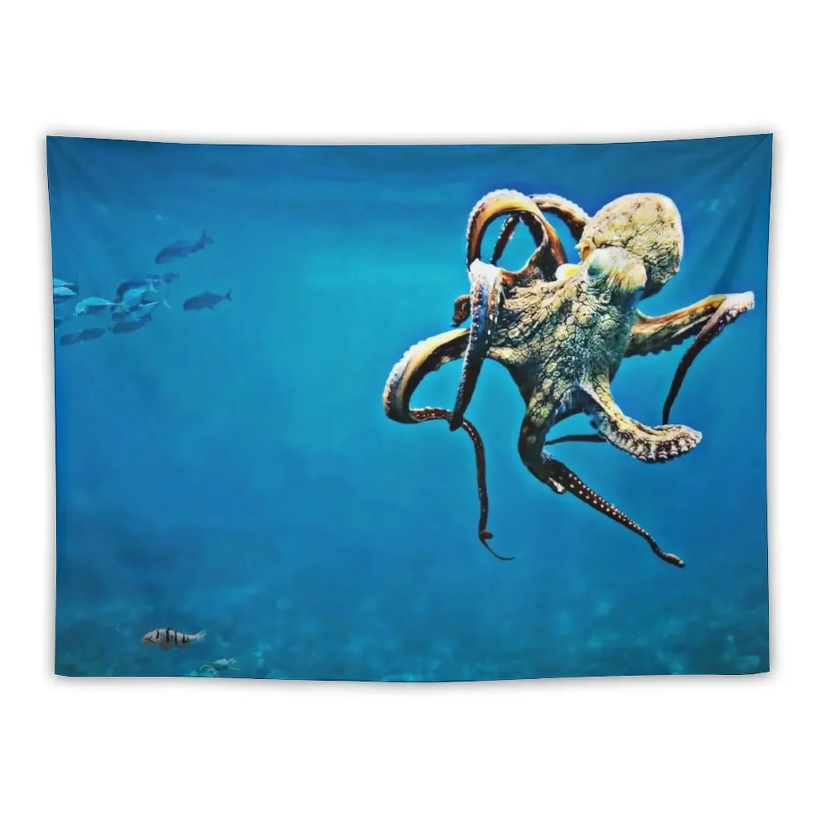 

Octopus Tapestry Room Aesthetic House Decorations Aesthetic Room Decoration Tapestry