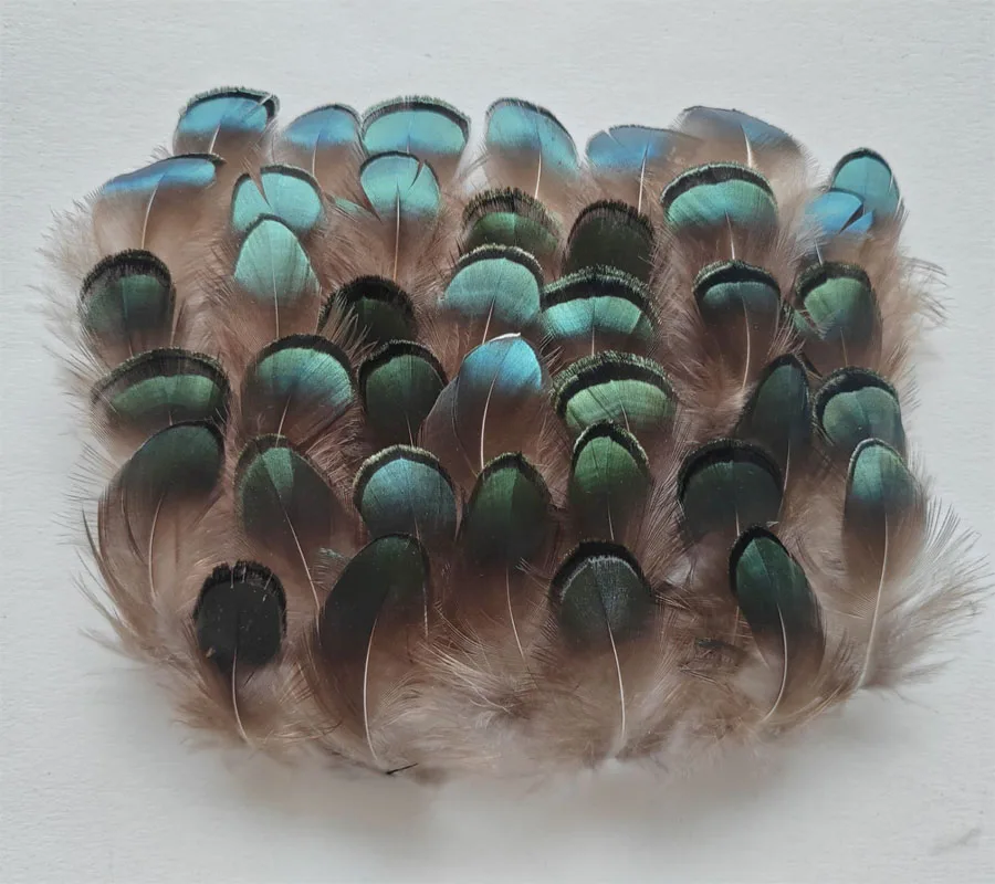 

200/500/1000pcs/Lot!4-6CM Small Green Bronze Lady Amherst Pheasant Feathers for Jewelry Making,Costume,Mask Headdress Decoration