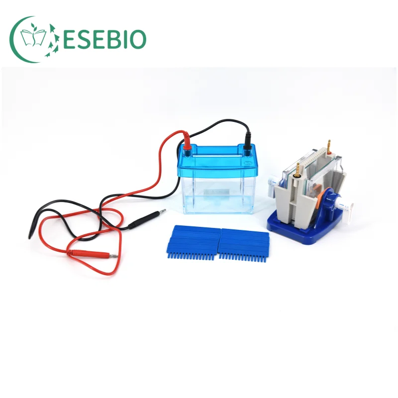 Cellule de MüntrophorOutre pour PCR, 10000 Pièces