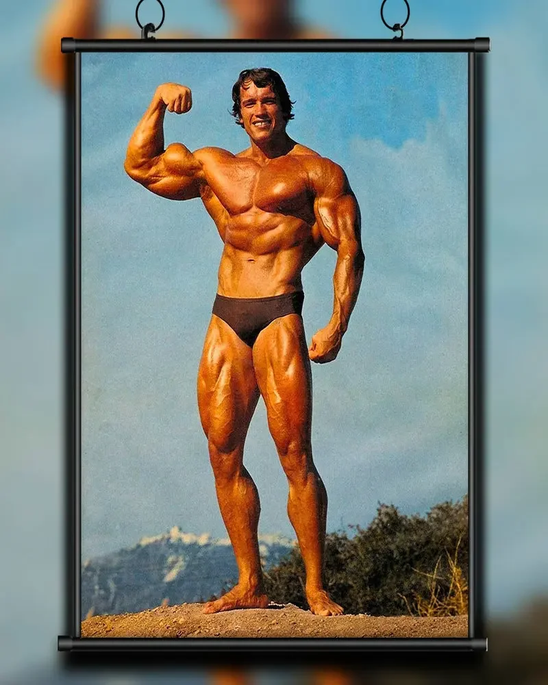 A56 Silk Poster Home Decoration Arnold Schwarzenegger Bodybuilding Strong Muscle Wall Art Christmas Gift