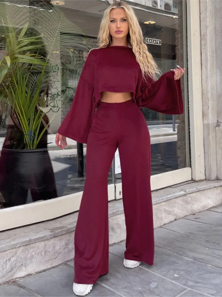 

Solid Color 2 Pieces Set For Woman Long Sleeves Two Piece Outfits All-match New In Matching Sets Simple Loose Homewear Casual
