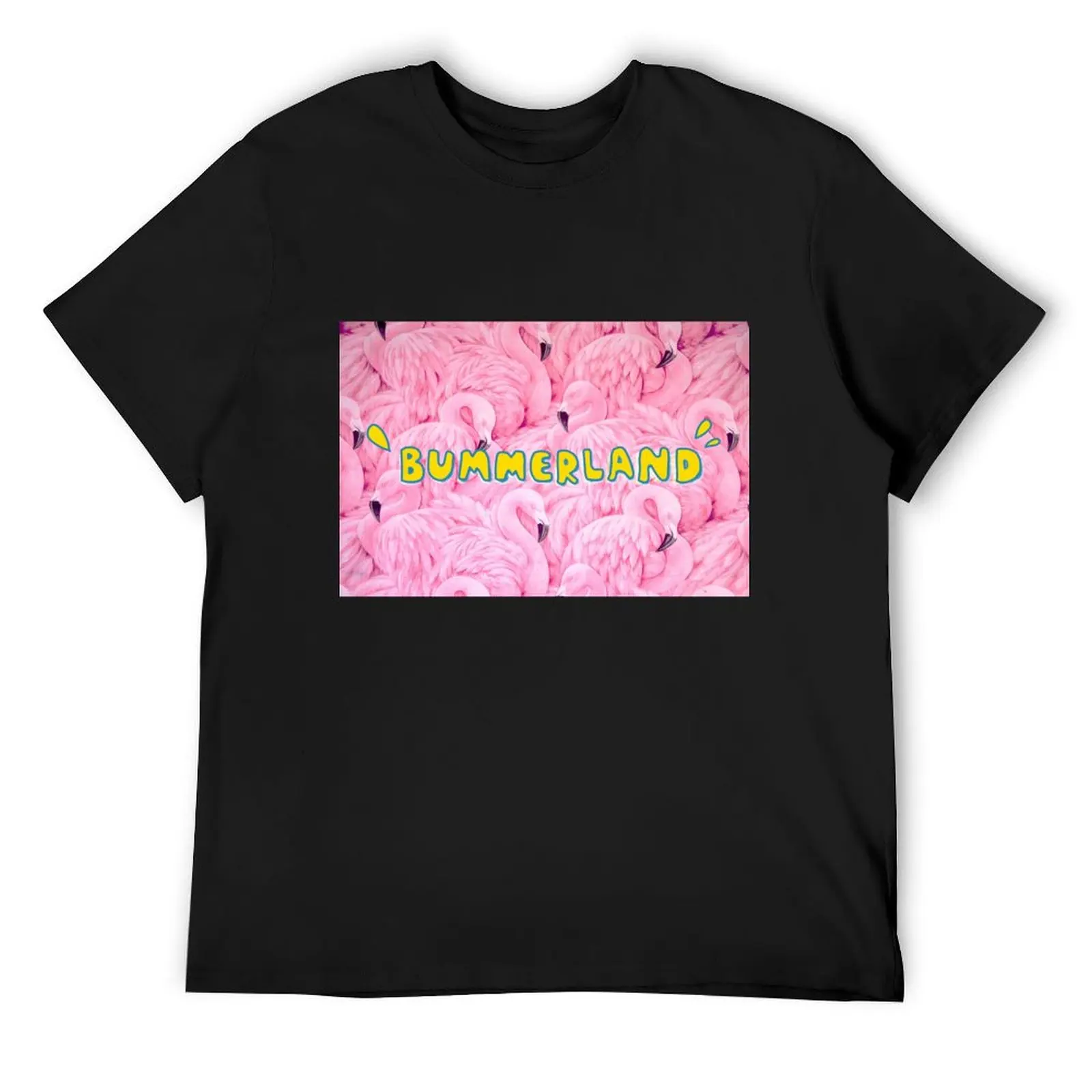 

[РСПРОДАЖА] Футболка AJR Bummerland Flamingo, футболка на заказ, быстросохнущая, летняя винтажная одежда 202, мужская тренировочная рубашка