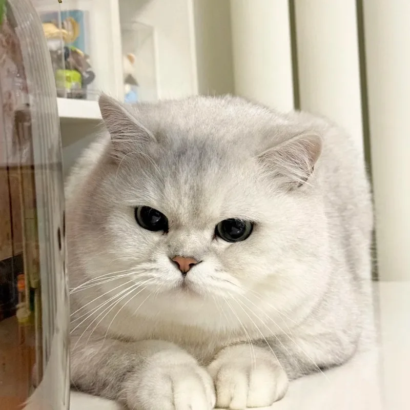 

Новая EMS машина для скульптуры тела, роликовый массаж, сжигатель жира, массажные устройства для ухода за телом, стимуляция мышц, электромагнитное устройство для спа