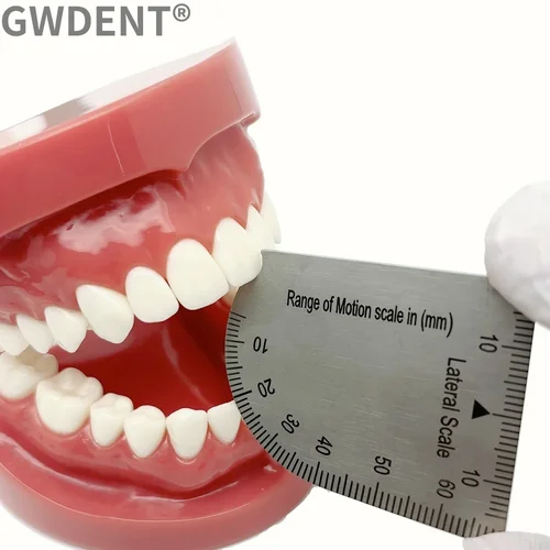 Calibrador de mordida Dental de acero inoxidable, mordaza para la boca, capacidad de apertura, Regla de medición de precisión Dental