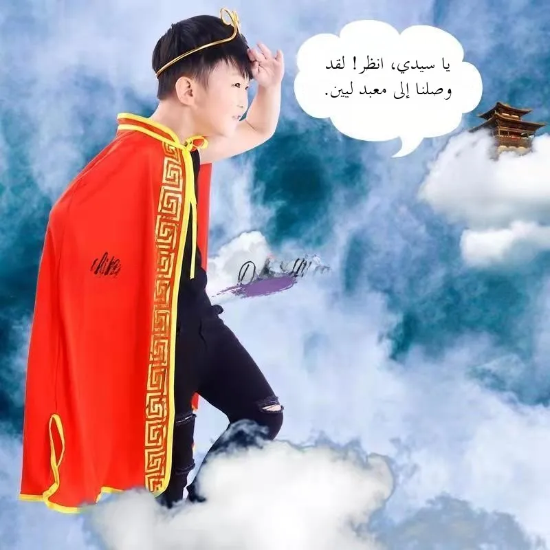 

Red Monkey King Cosplay Costume Children's Halloween Party Boys' Robe Performance Cotton Traditional Chinese Opera Outfit