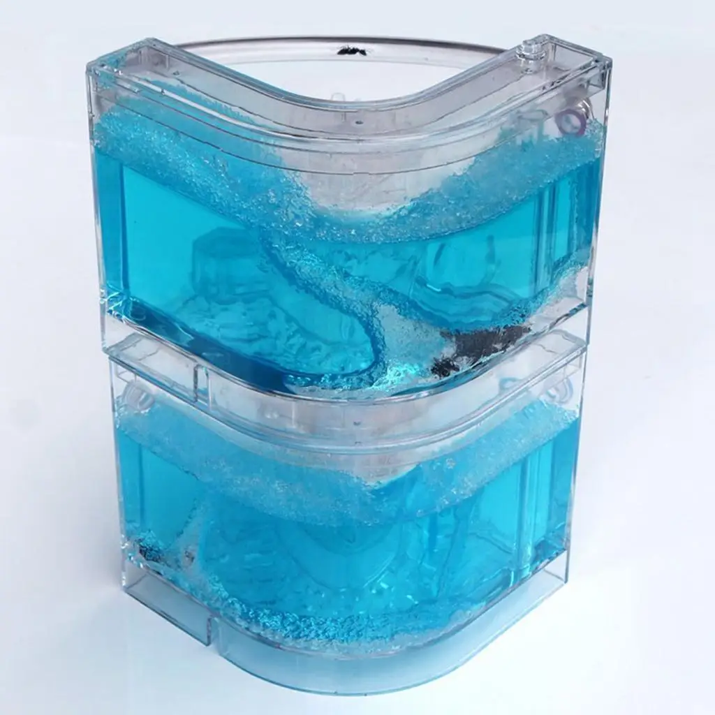 

Educational Learning Science Kit Plastic Ant Transparent Ant Farm Toy for Children STEM Enrichment