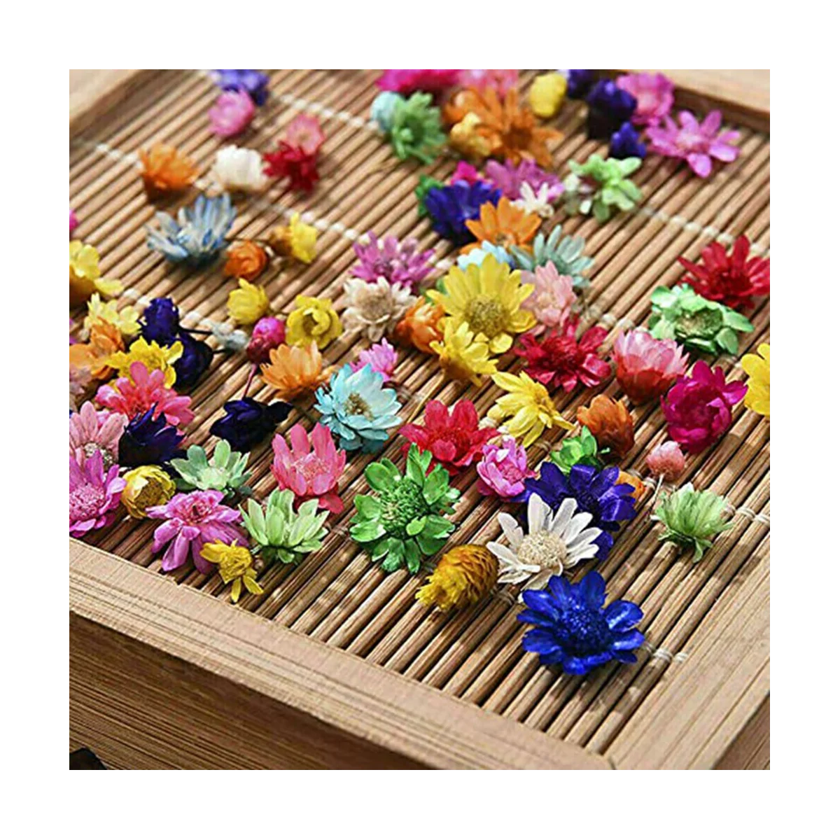 1420Pcs Pressed Real Dried Flowers Leaves for Epoxy Resin Jewelry Making Nail DIY