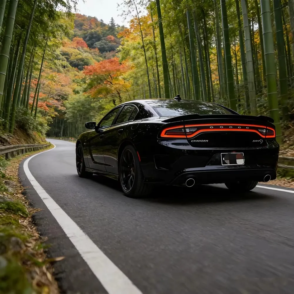 

Для Dodge Charger 2011-2014: Новые светодиодные задние фонари в сборе, улучшенный дизайн, яркие мигающие задние фонари, аксессуары Plug and Play