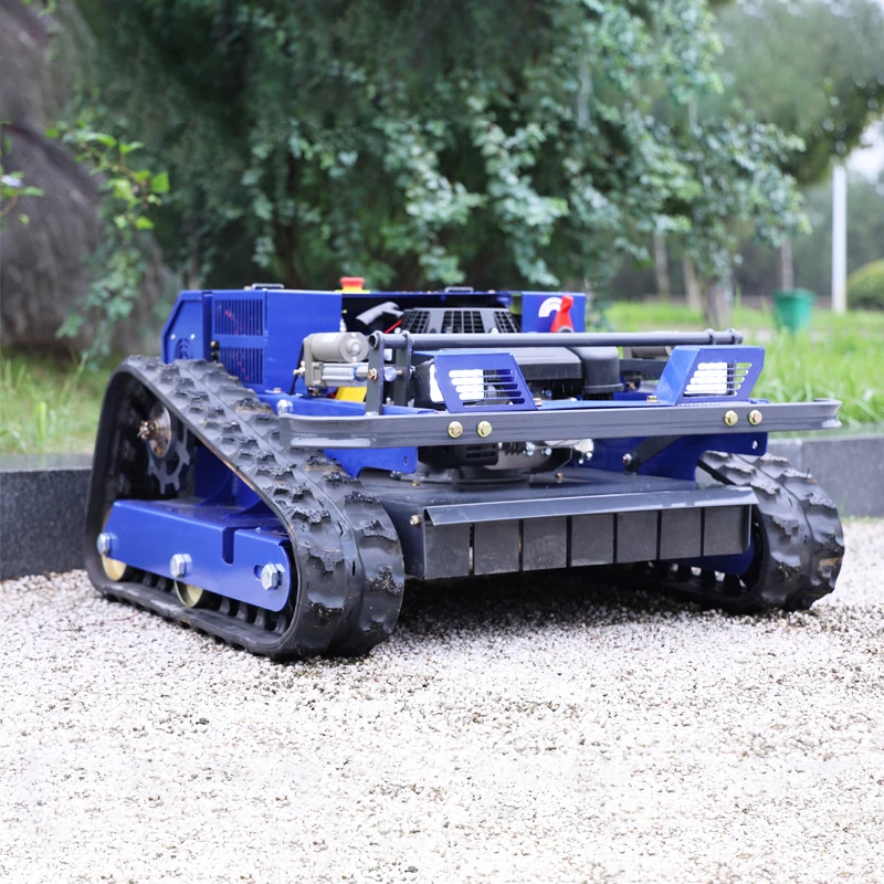 Customized Professi… - image