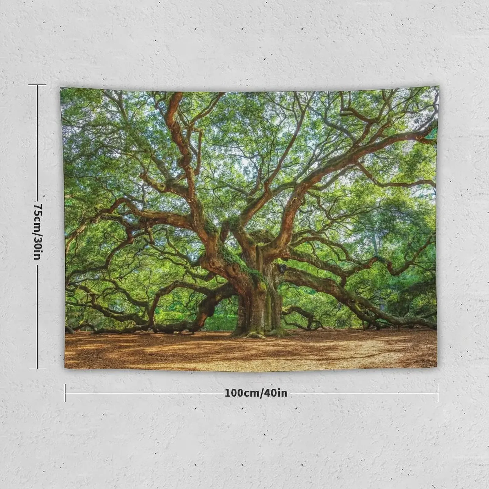 Angel Oak - Ancient Tree on Johns Island South Carolina Tapestry Wall Hanging Decor Room Decor Kawaii Room Decor Tapestry