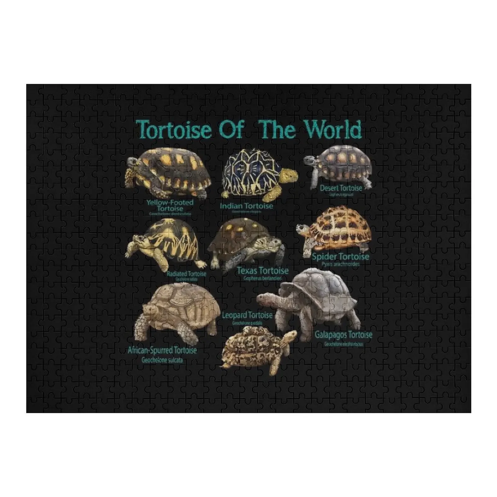 

Пазл «Черепаха мира», деревянное имя на заказ, персонализированное для детей, деревянная головоломка для взрослых, настраиваемый подарочный пазл