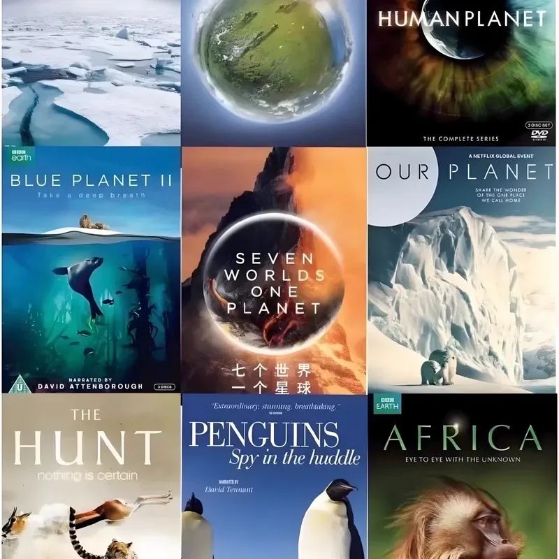 Children Documentary U Disk Mandarin English Earth Pulse Human Animal Education HD MP4 USB Flash Drive