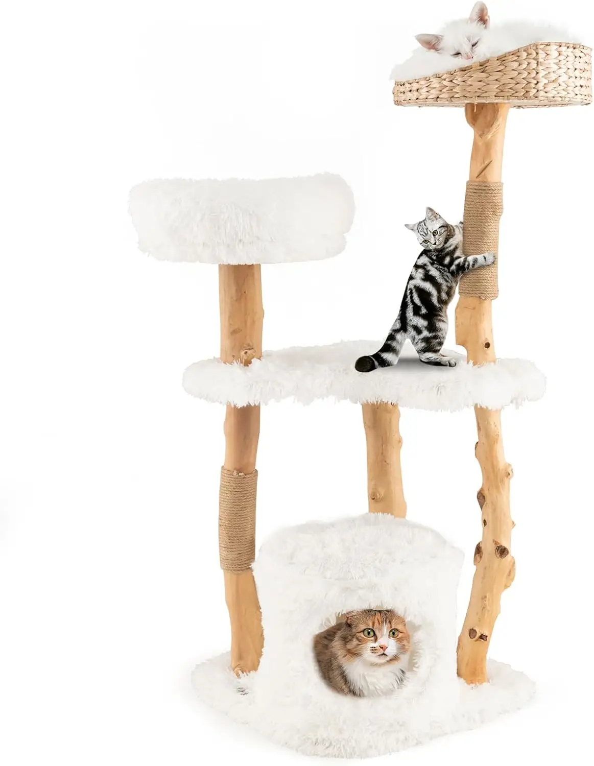 PETSITE 49 inch Cat Tree for Indoor Cats, Solid Wood Modern Multi-Level Tower with Scratching Posts, Top Cattail Basket