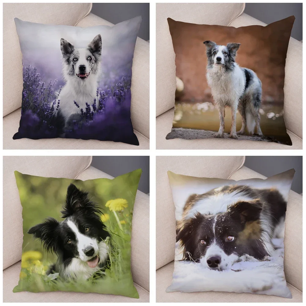 Cute Pet Animal Cushion Cover Scottish Border Collie Pillowcase Dog Printed  Sofa Stroller Customizable