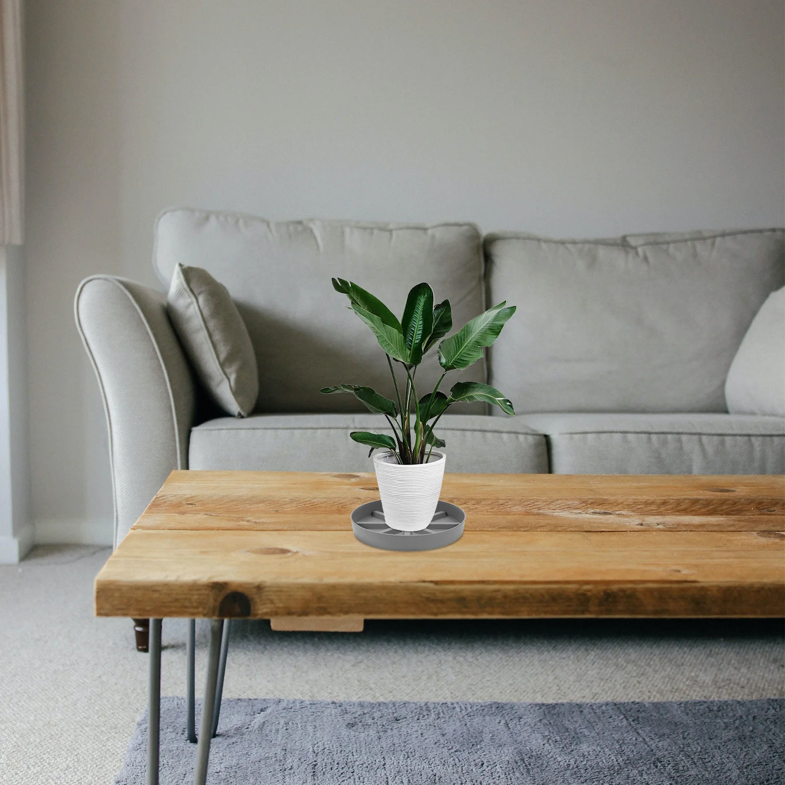 

4pcs Plastic Plant Saucers Round Flower Pot Trays For Indoor Outdoor Drainage Drip Water Catcher Tray Potted Plants Garden Decor