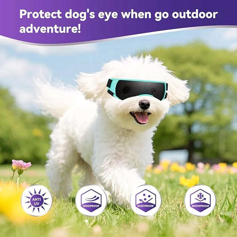 Hunde-Sonnenbrille, kleine Hundebrille für kleine Hunde, winddichte Anti-UV-Brille für Hunde, Augenschutz im Freien – Detail 4
