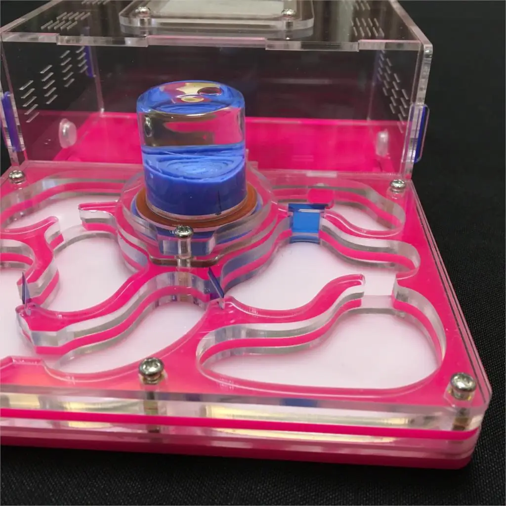 Thumbnail 4 - #14 New Ant Farms Arrivals