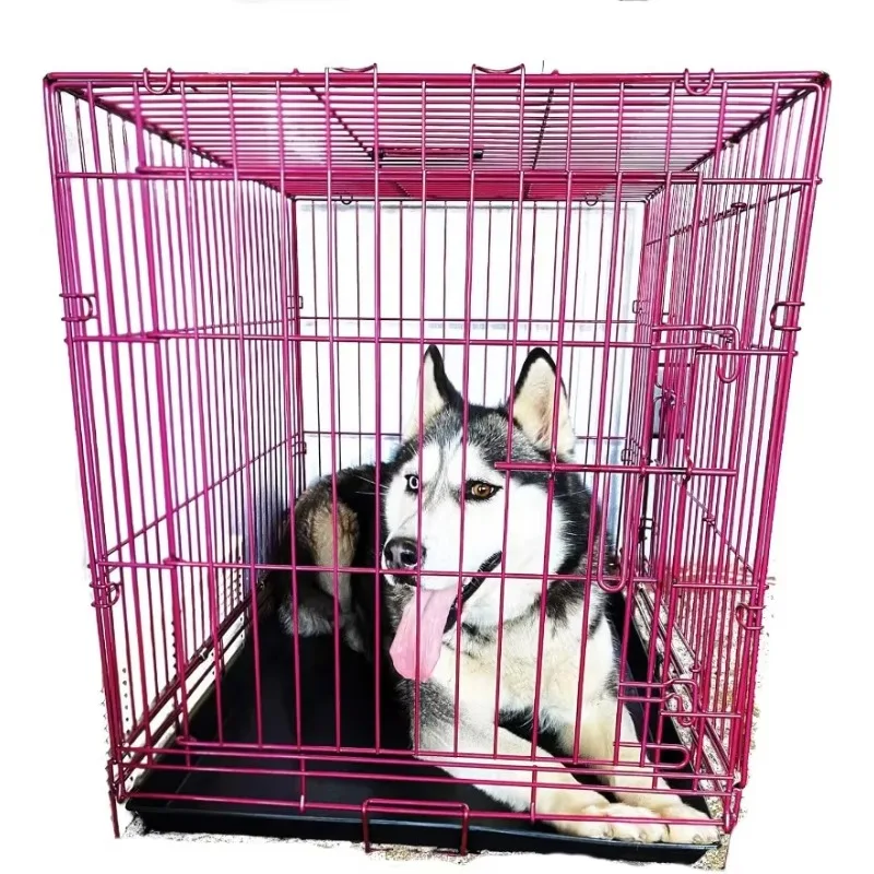 Luxury Colorful 48 Inch Foldable Dog Crate with 2 Doors | Free Training Ebook and Pet Calming Music | 3 Colors & 3