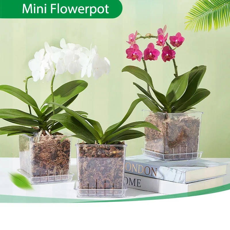 Мини-прозрачный цветочный горшок Phalaenopsis Succulents, дышащая ваза с подносом, пластиковый детский горшок для посева для домашнего декора окон