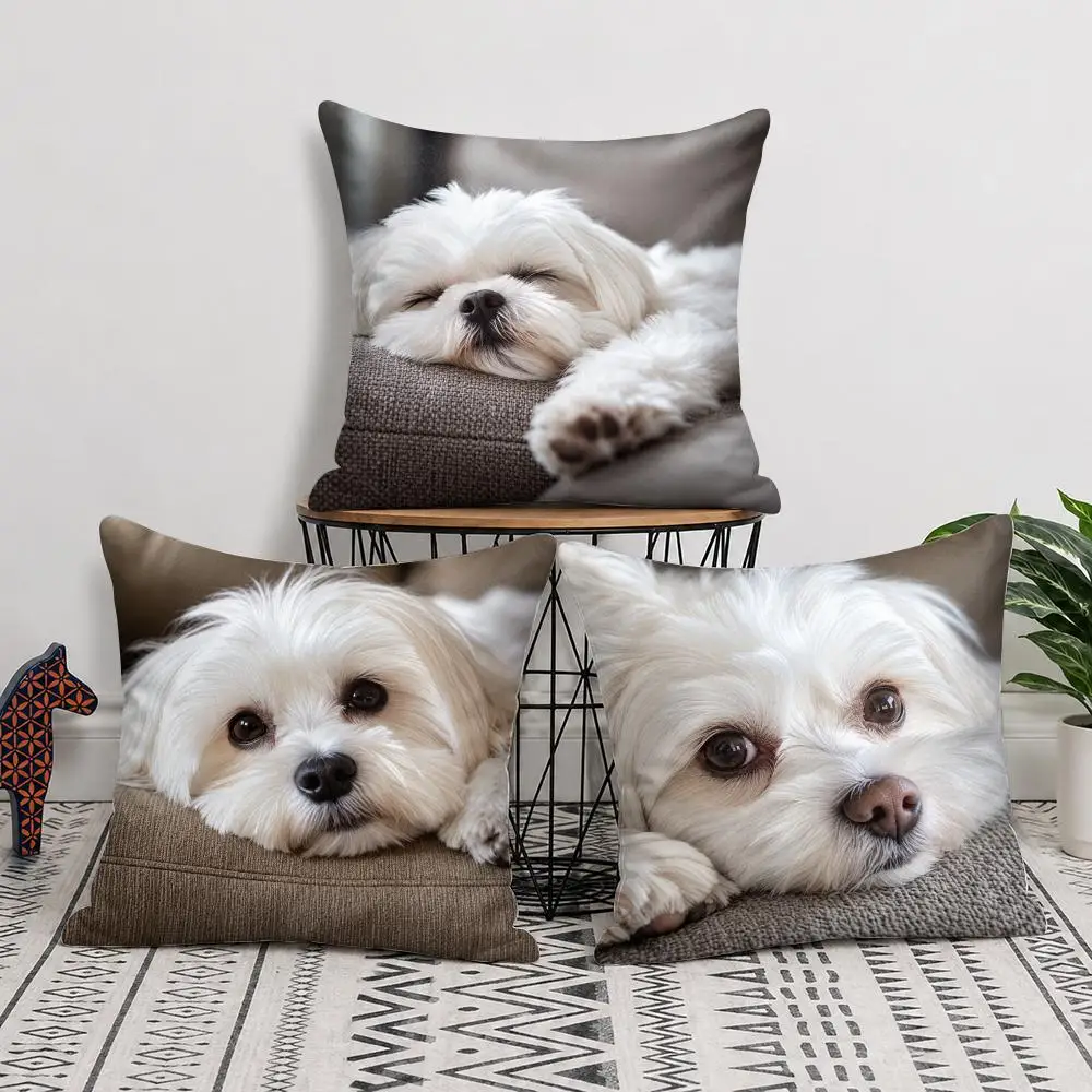 Cozy Maltese Moments Cushion Cover Soft Short Plush Pillow Cover Smooth Cozy Texture Cushion Case Home Decor