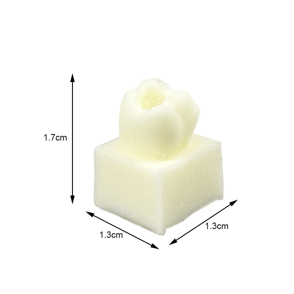 8pcs Resin Dental Implant Model Practice Training Filling Model Dentistry Students Studying Examation Teaching Education Model