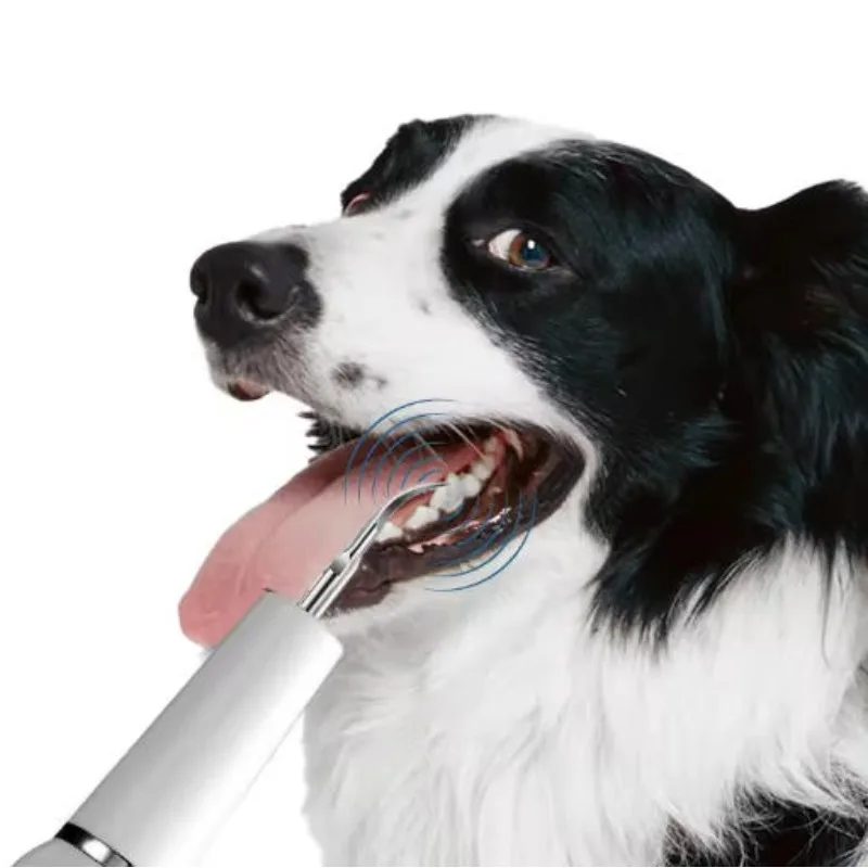 

New Ultrasonic Dog Tooth Cleaner - Smart Negative Ion Technology with Interchangeable Head and Tooth Cleaning Tools