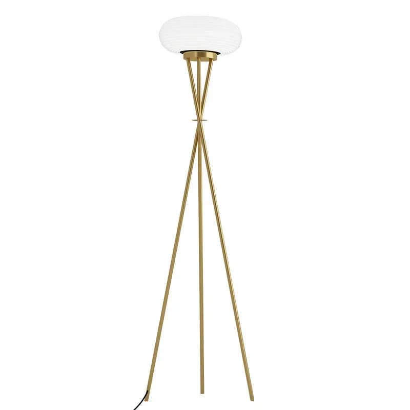 

Minimalist floor lamp, light luxury lamp by the sofa in the living room, creative vertical desk lamp