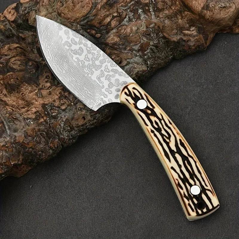 Lightweight Stainless Steel Pocket Knife for Camping and Emergencies - Ideal for Cutting Meat, Vegetables, and More