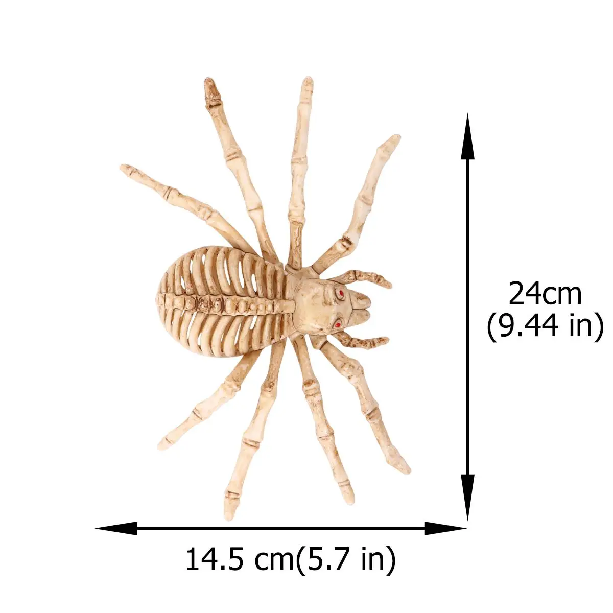 

Skeleton Spider Bone Decorations Beige om Eyes Scary Halloween Props Party Home Bar Store Realistic ABS Tasteless Fine