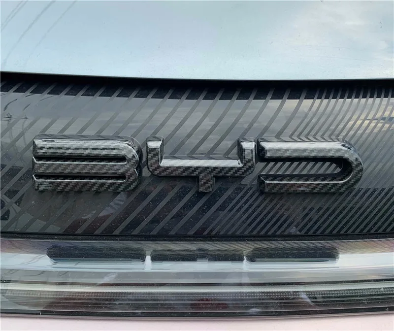 For BYD Dolphin Back Carbon Front Letter  Logo 1pc