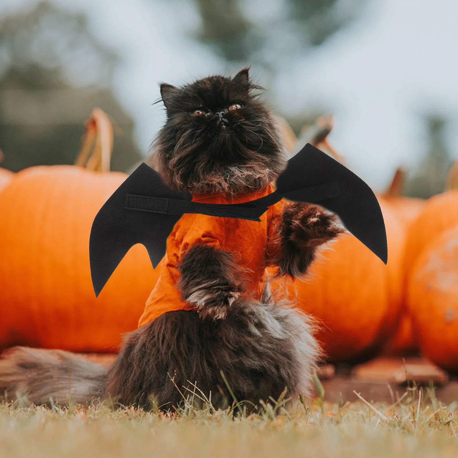 

Pet Halloween Wing Costume Creative Bat Wings for Cat Dog Black Felt Light Comfortable Wear Convenient Size Adjustment
