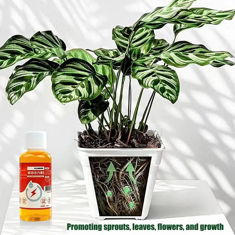 

50ml Thrives For Plants Liquid Rooting Nutrition For Indoor Plants Garden Fertilizers Flower Fertilizer Grow Rooting Fertilizer