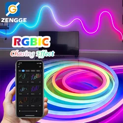 Addressable Neon LED Strip Lights Flexible Digital RGB+IC LED Pixels Strip Light LED Rope Lights USB RGBIC LED Neon Rope Lights