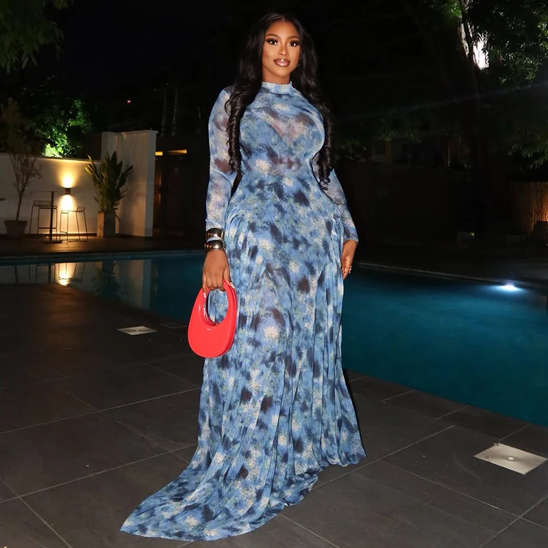 Doyerl Autumn Spring Long Sleeve Maxi Dress Women Club Party Night Elastic Sheer Mesh Printing A-line Long Dresses Vestidos