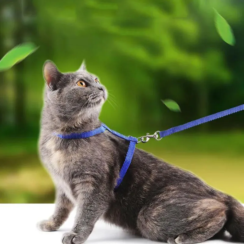 Rabbit Cat Harness Collar with Leash Set H Shape Choke Puppy Kitten Harness for Escape-proof Small Dog Strap Collar for Pet