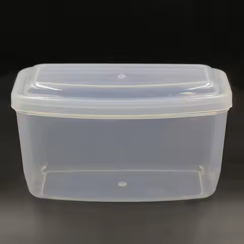 Hard Plastic Scuba Dive Diving Mask Storage Box Case Snorkeling Goggles Swim Glasses Protector Container Transparent