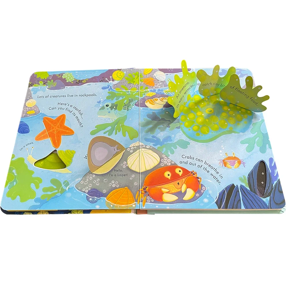 Usborne Peep Inside The Seashore ثلاثية الأبعاد رفرف كتاب صور مونتيسوري التعليمية الإنجليزية كتب للأطفال الطفل القراءة وقت النوم