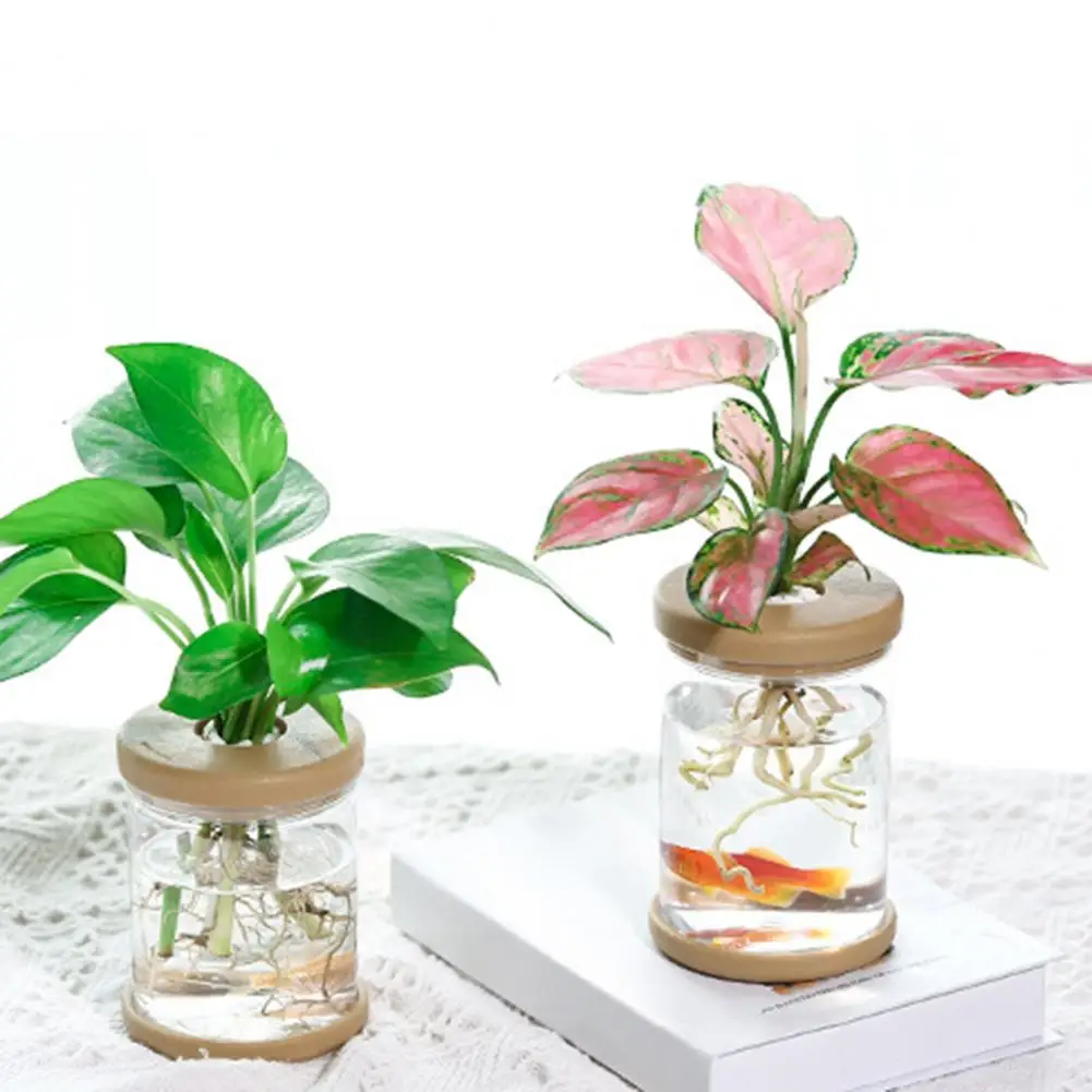 Mini Hydroponic Flower Pot Home Vase Decor Transparent Imitation Glass Soilless Plant Pots Green Plants Pot For Home Decoration