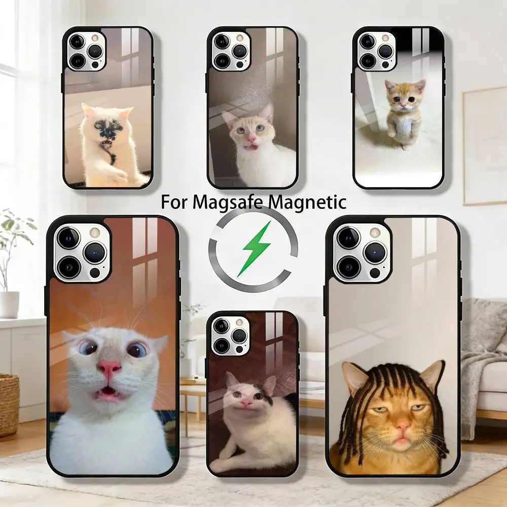 

Funny Animal Cat Phone Case For iPhone 17,16,15,14,13,12,Plus,Pro,Max For Magsafe Magnetic Wireless Charge