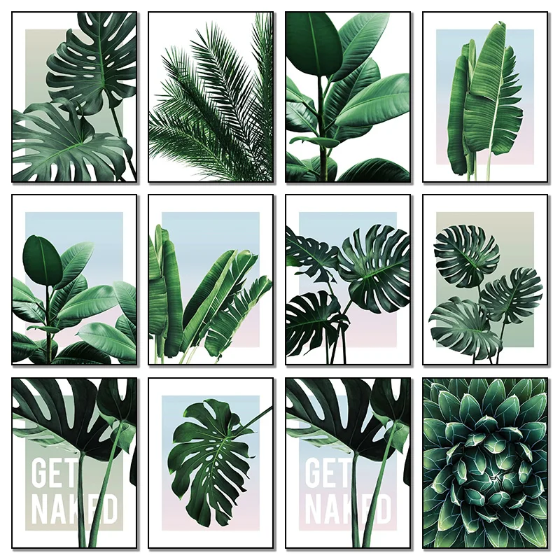 Nordic Minimalist Aesthetics Wall Art Cactus Agave Plant HD Canvas Paintings Poster Print Home Living Room Bedroom Decor Gift
