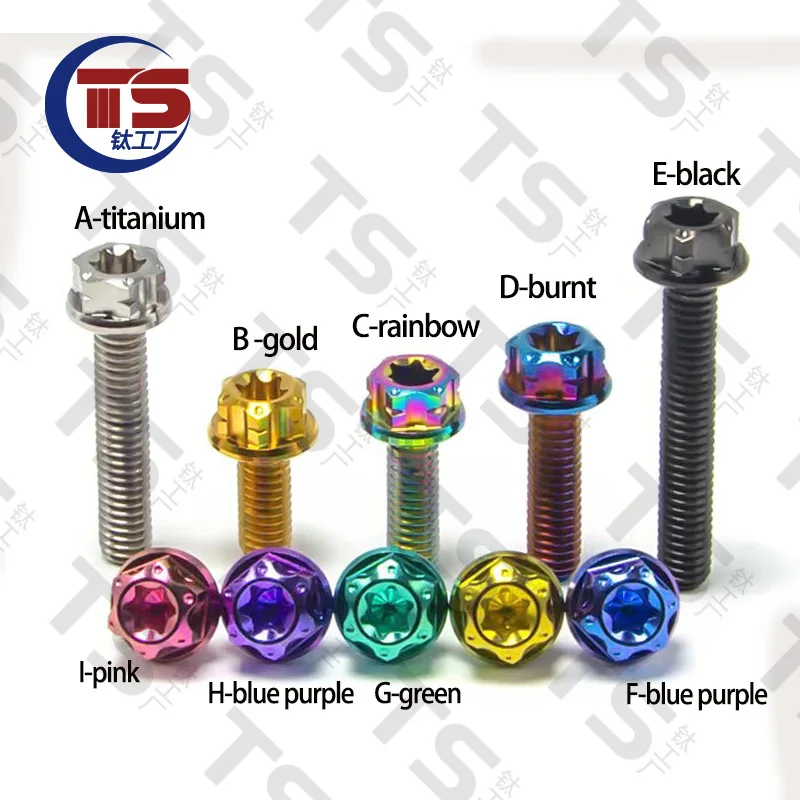 TS 10pcs Factory Gr5 Titanium Screw M5X8/10/15/20/25/30/35/40mm Motorcycle Modification Screw