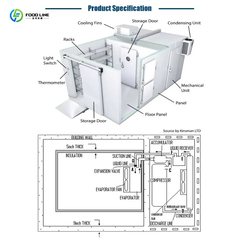 Walk in Cooler Freezer Commercial Solar Powered Dual Temp Ctrl Thermo Steel Shelves for Outdoor Market Catering Storage