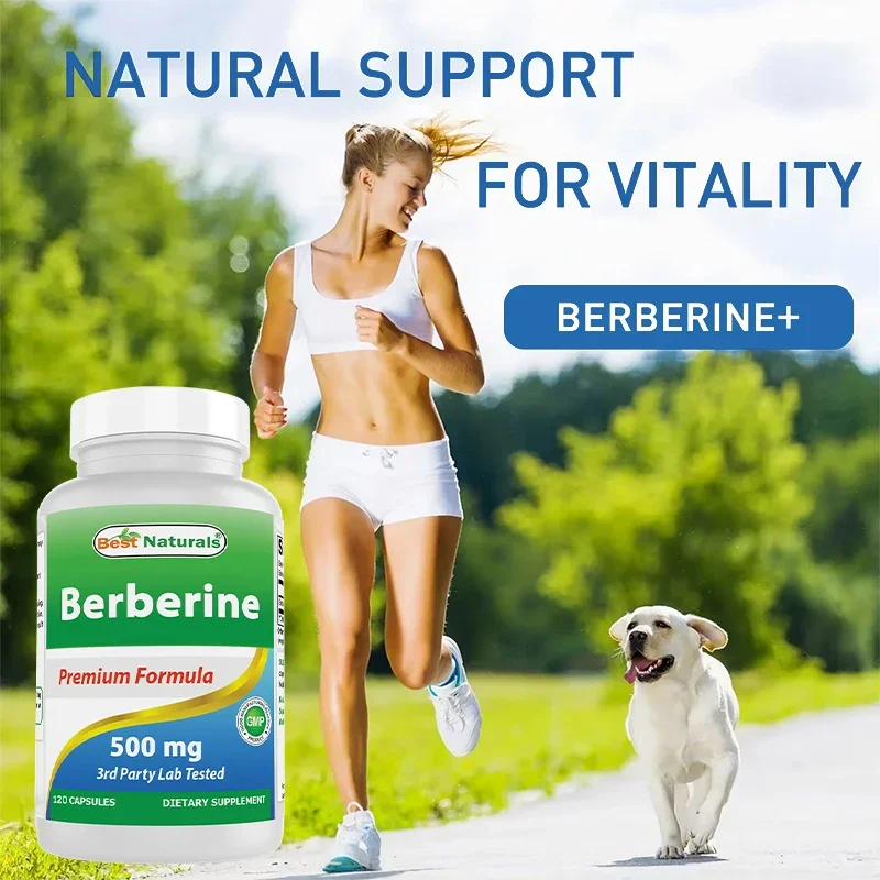 Best Naturals Berberine 500 mg 120 Capsules - Supports Immune, Cardiovascular and GI Function